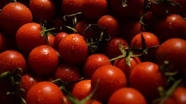 garnishing-instructions-image